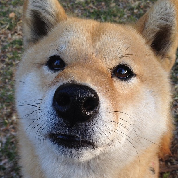 开云体育APP下载-CBA球队完善青训培养体系，cba青训队年龄要求