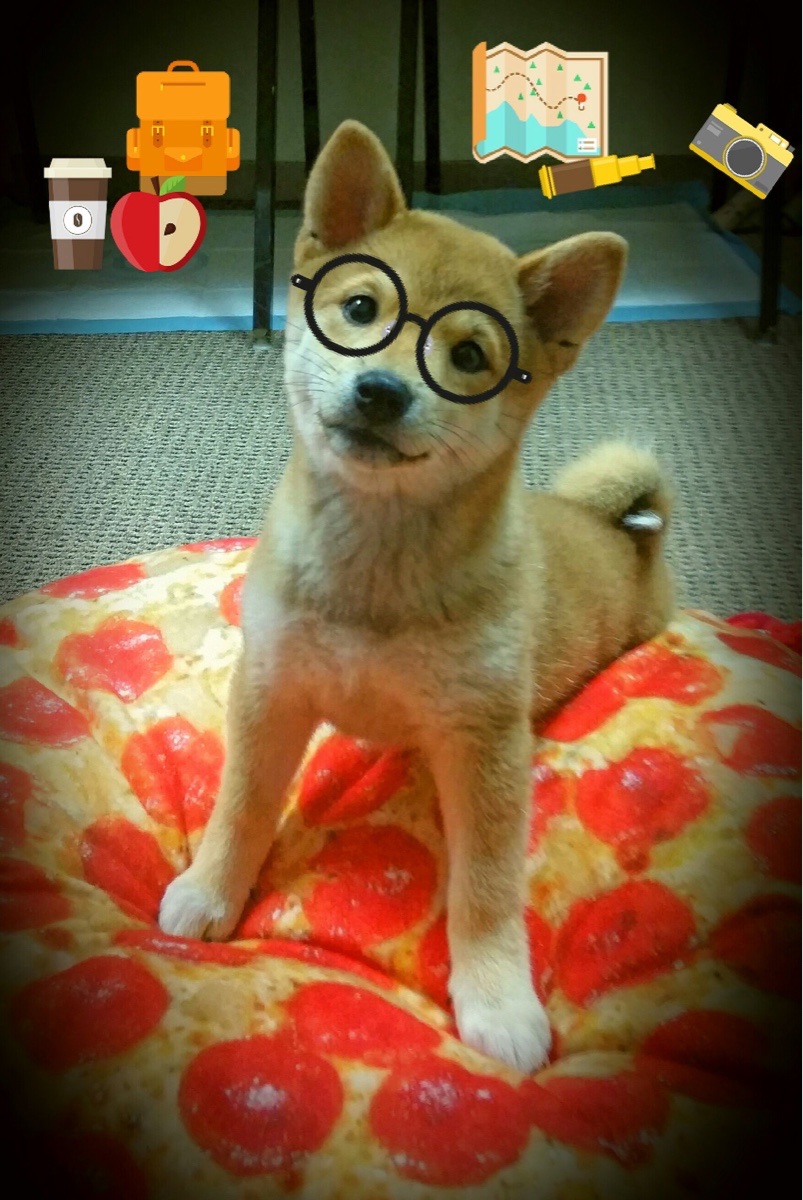 kaiyun体育综合-亚洲杯中国足球晋级 球员状态稳定发挥，足球亚洲杯中国队名单