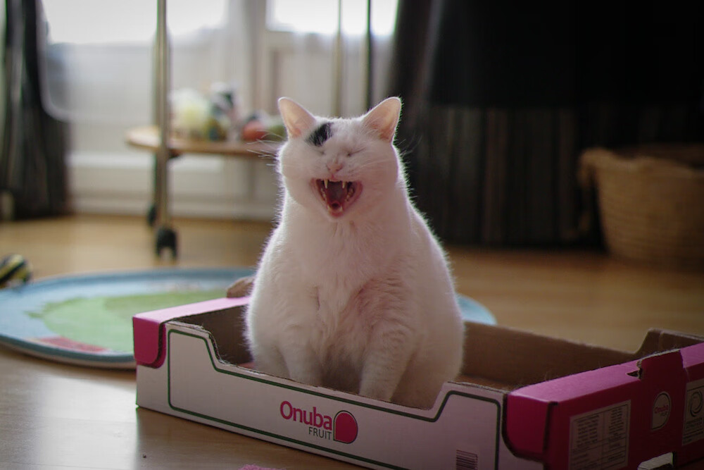 开云全站-基层足球场地建设滞后制约发展，足球场地建设方案