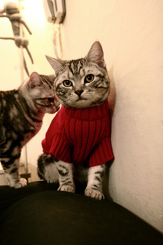 开云电竞app-未来可期：中国香港队的崛起与发展蓝图