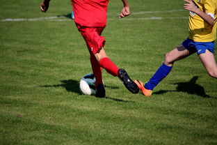 开云体育中国官网-电竞高校联盟赛事落地百所高校，高校电竞联赛冠军