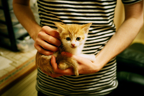 Kaiyun官方登录入口-世界杯精彩瞬间：动人心弦，令人难忘！，世界杯震撼的场景