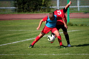 开云体育网页入口-中国足球俱乐部与国际学校合作开展足球课程，国内足球培训基地